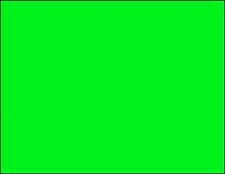 R001011-G 1up Blank Fluorescent Green on Un-coated CardStock (formerly 97500-G)